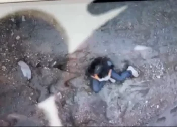 Durante a trilha, Juliana tropeçou, escorregou e caiu a uma distância de cerca de 300 metros • Arquivo pessoal