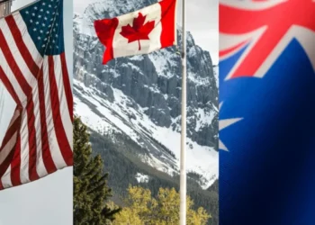 • Nik Shuliahin, Igor Kyryliu, kengin akyurt/Unsplash & Tetiana Kravchenko,