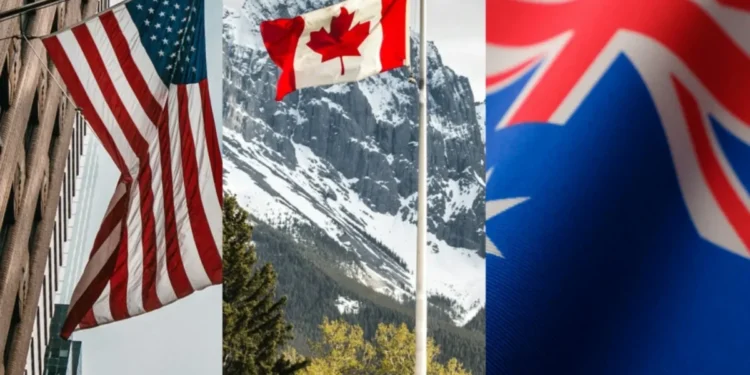 • Nik Shuliahin, Igor Kyryliu, kengin akyurt/Unsplash & Tetiana Kravchenko,