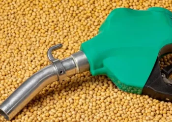 Se o B15 for mantido ao longo do próximo ano, demanda será de 7,5 mil toneladas anuais de óleo de soja. — Foto: Getty Images