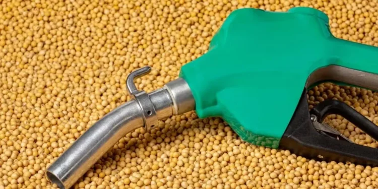 Nova mistura do biodiesel vai aumentar demanda por óleo de soja