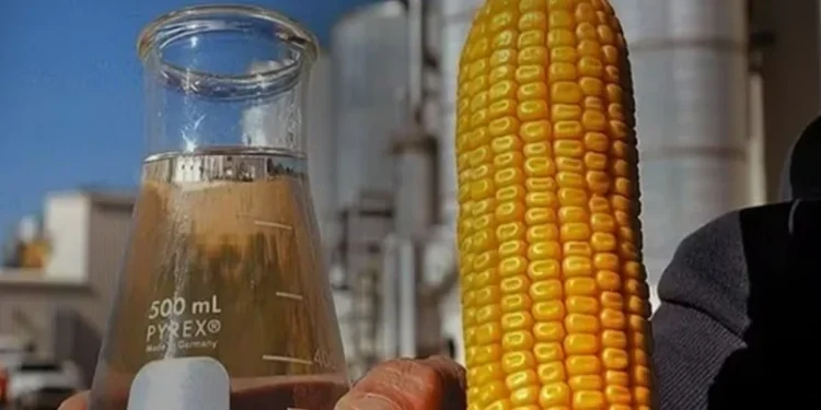 Mistura de 30% na gasolina vai demandar 1,5 bilhão de litros de etanol adicionais por ano