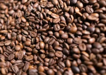 Grãos de Café — Foto: Wenderson Araujo/CNA