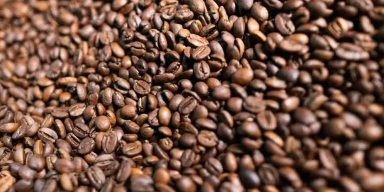 Produção e consumo de café no mundo devem ser recordes em 2025/26