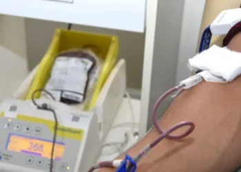 Governo do Tocantins sanciona lei de incentivo à doação de sangue -Foto: Divulgação Saúde