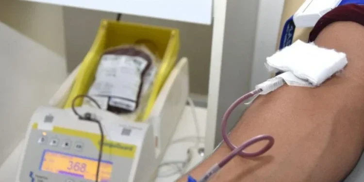 Governo do Tocantins sanciona lei que amplia conscientização para a doação de sangue