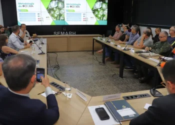 Governo do Tocantins lança portal do CIGMA para fortalecer o combate ao desmatamento e às queimadas