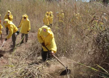 Tocantins registra 478 focos de incêndio em uma semana e entra em alerta máximo