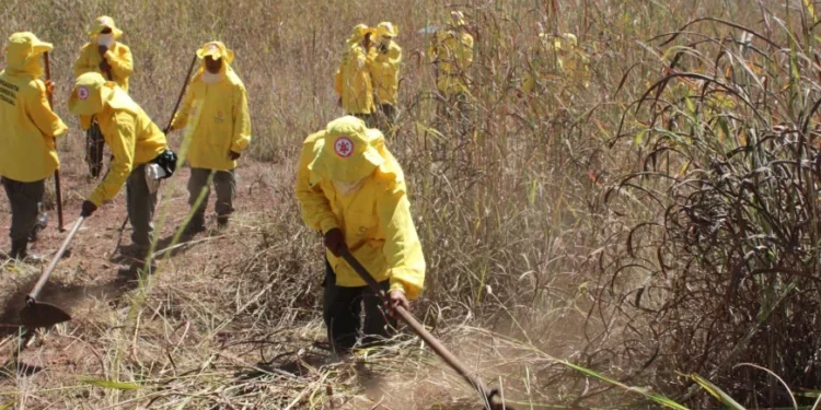 Crédito: Soldado Thiago Baltazar dos Santos/Governo do Tocantins.