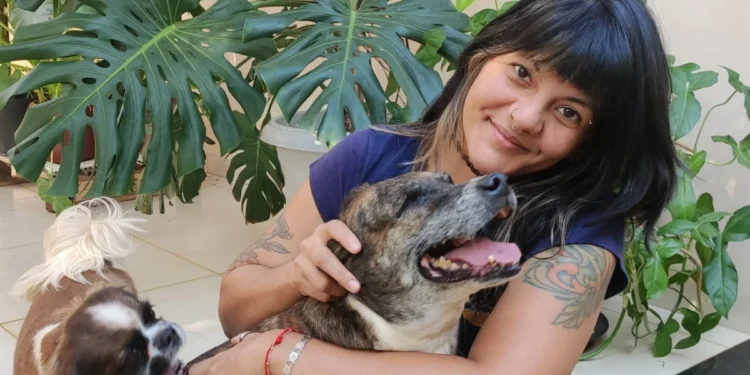 Coletivo SOMOS conquista aprovação de lei que fortalece combate aos maus-tratos em Palmas