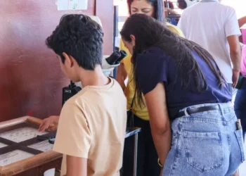 Foto: Francisco Barros