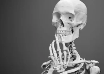 Medicina e pesquisa: Ossos são estudados para entender doenças ósseas e desenvolver tratamentos. crédito: Mathew Schwartz/Unsplash