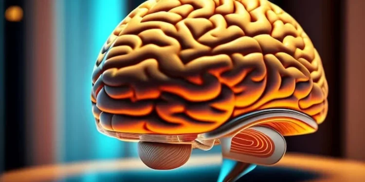 Imagem de um cérebro crédito: Freepik