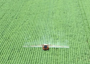 Lavoura de soja em Primavera do Leste (MT) • Paulo Whitaker/Reuters