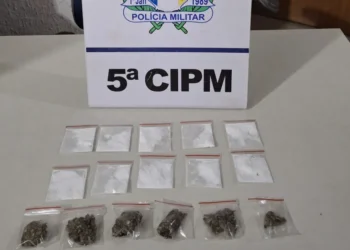 Material apreendido - Foto: Ascom 5ª CIPM