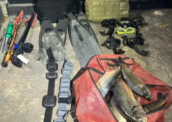 Material apreendido - Foto: Polícia Militar