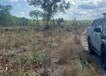 Além da multa, a área foi embargada por meio do Termo de Embargo - Foto: Ascom BPMA