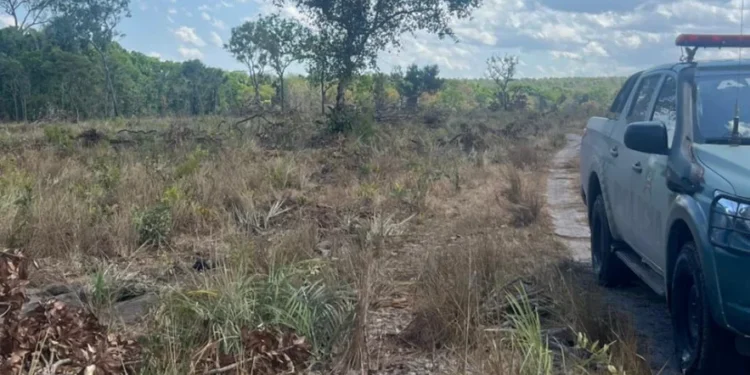 Homem é autuado pela PM em R$ 690 mil por desmatamento ilegal em área de reserva legal em Wanderlândia
