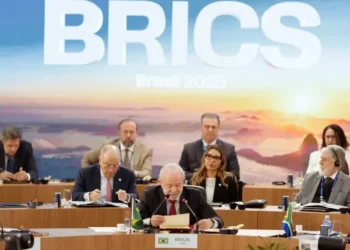 Cúpula do BRICS • Isabela Castilho | BRICS Brasil