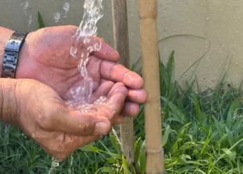 Instituto Terra Brasil aponta saneamento do Tocantins como o melhor do Norte do País