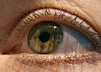 Mulher foi atingida sem ter relação com a briga.  • Foto: KAREN BLEIER/AFP/Getty Images