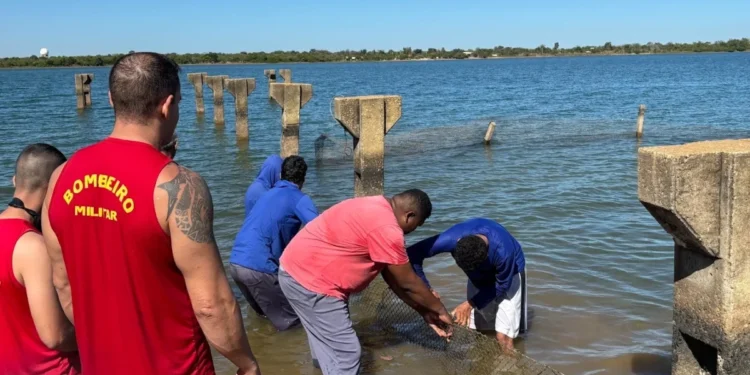 Prefeitura de Palmas inicia instalação de telas de proteção na Praia do Caju para temporada de verão