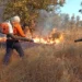 Defesa Civil de Palmas atua em mais de 100 focos de incêndio em julho