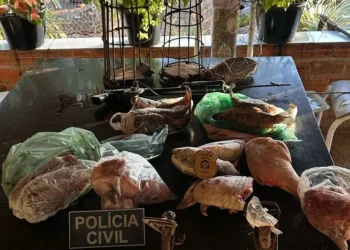 As investigações tiveram início após denúncias de moradores locais - Foto: Divulgação PCTO