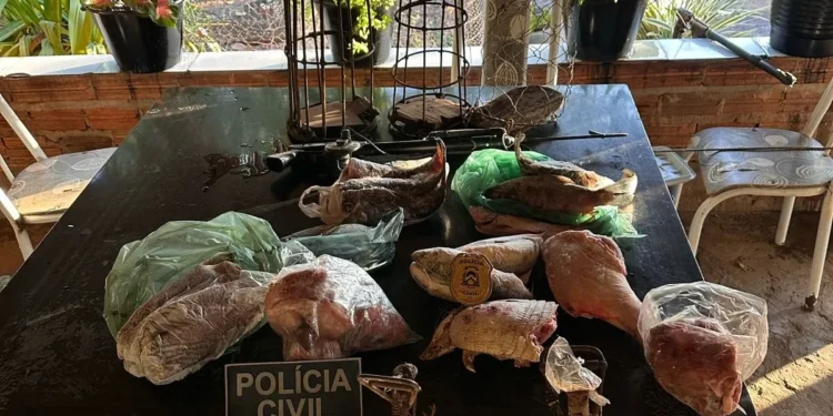 Em Araguacema, homem é autuado pela Polícia Civil do Tocantins por exercício ilegal da profissão de Corretor de Imóveis