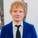 Ed Sheeran conta situações “sinistras” que arriscaram segurança de família