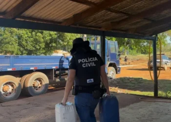 Em Araguatins, Polícia Civil do Tocantins desarticula comércio clandestino de combustíveis e agrotóxicos e esclarece furto de gado - Divulgação PC/TO