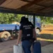Em Araguatins, Polícia Civil do Tocantins desarticula comércio clandestino de combustíveis e agrotóxicos e esclarece furto de gado