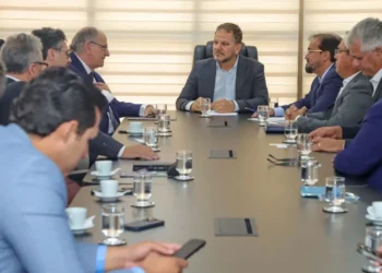 Governo do Tocantins apresenta oportunidades de investimento no estado para equipe internacional