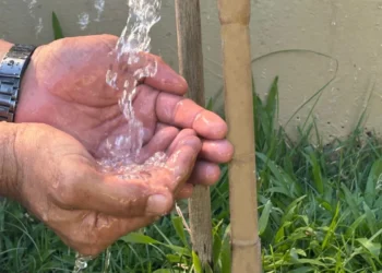 Tocantins segue liderando na Região Norte e Nordeste em relação às Capitais - (Foto: Adilvan Nogueira/Governo do Tocantins)