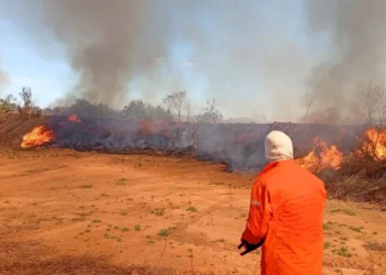 Defesa Civil de Palmas combate 21 ocorrências de incêndio em Taquaruçu e no Aterro Sanitário durante esta semana