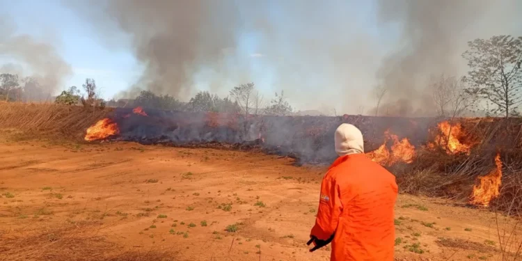 Defesa Civil de Palmas combate 21 ocorrências de incêndio em Taquaruçu e no Aterro Sanitário durante esta semana