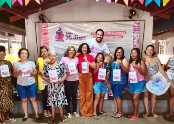 A iniciativa é coordenada pelo Governo do Tocantins, por meio da Secretaria de Estado da Mulher (SecMulher), em parceria com o Instituto de Atenção às Cidades (IAC), a Fundação de Apoio Científico e Tecnológico do Tocantins (FAPTO) e a Universidade Federal do Tocantins (UFT)