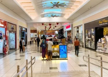 Setor de serviços no Tocantins cresce 8,3% no acumulado de 2025, aponta IBGE