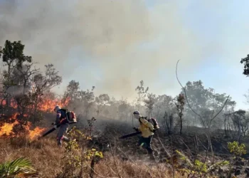 Consulta pública sobre o novo Plano Nacional do Livro e Leitura está aberta até 8 de agosto