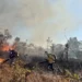 Naturatins conclui treinamento de novos brigadistas com prática de combate a incêndios florestais