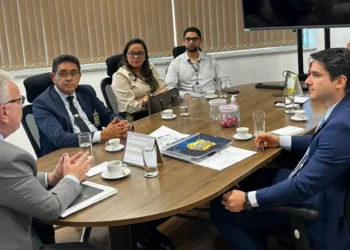 Tocantins apresenta pautas estratégicas à Senappen para modernização do sistema prisional