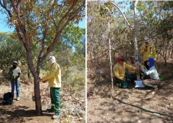 Tocantins garante R$ 4,2 milhões do PDDE Equidade com adesão de 100% dos municípios