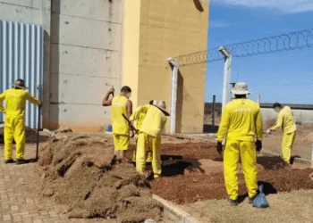 Edinho Fernandes, secretário Executivo da Seduc, foi convidado pelo Google para representar o Tocantins no MIT AI & Education Summit 2025 - Foto: Seduc/Governo do Tocantins