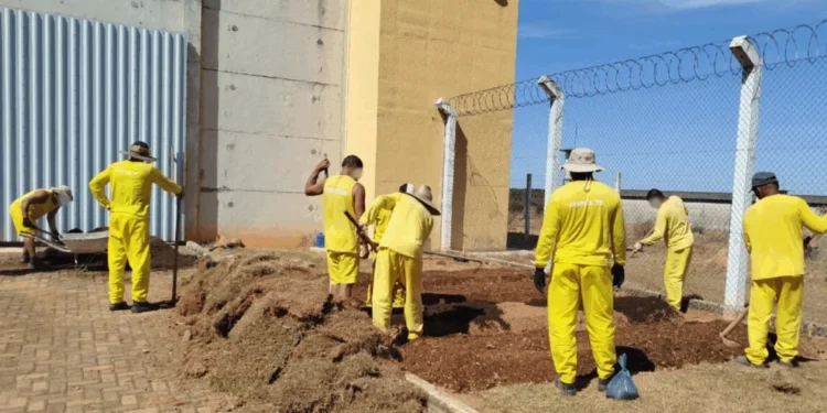 Secretário Executivo da Seduc participa de evento no MIT sobre o uso da inteligência artificial na educação