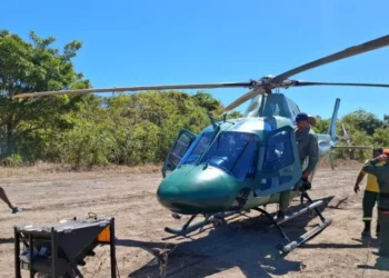 Atividades são realizadas por equipes do ICMBio e do Ibama para prevenir incêndios florestais na região - Foto: Naturatins/Governo do Tocantins