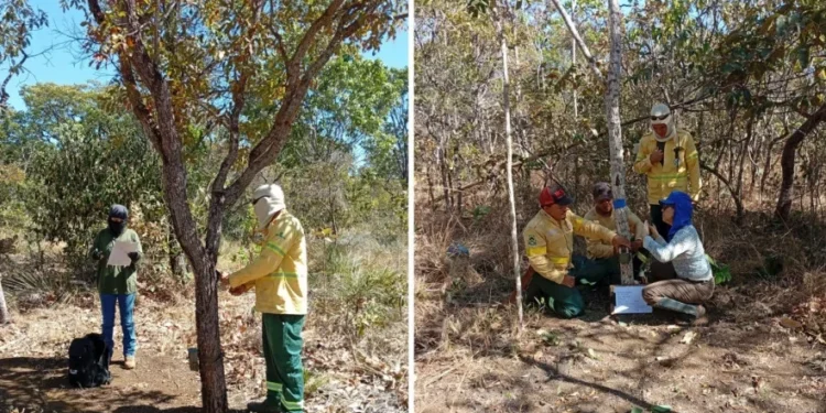 Com apoio de políticas educacionais do Governo do Tocantins, estudante da rede estadual conquista bolsa integral do Prouni
