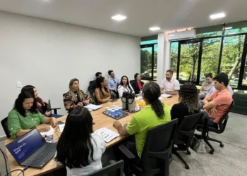 Governo do Tocantins articula composição de Grupo Institucional Estadual para implementar políticas públicas relacionadas à moradia 