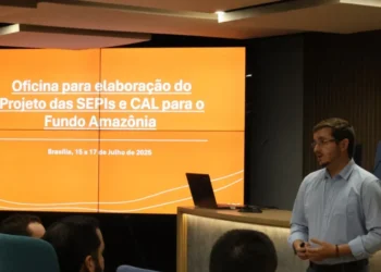 Tocantins presente na "Oficina para elaboração do projeto das secretarias dos povos indígenas e do Consórcio Amazônia Legal para o Fundo Amazônia" - Crédito: Sepot/Divulgação