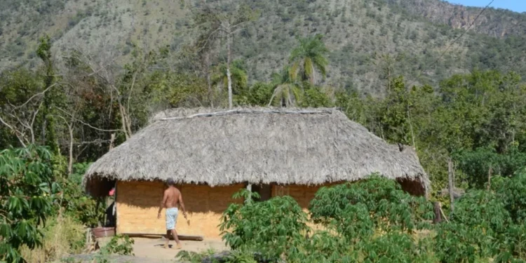 Vista de residência tradicional da Comunidade Quilombola Kalunga do Mimoso. Crédito: Divulgação/Governo do Tocantins