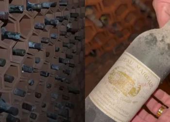 “A poeira é até um plus, pois significa que as garrafas não são movimentadas há um bom tempo”, disse a especialista em vinhos Ana de Andrade. • Reprodução/ Arquivo Pessoal